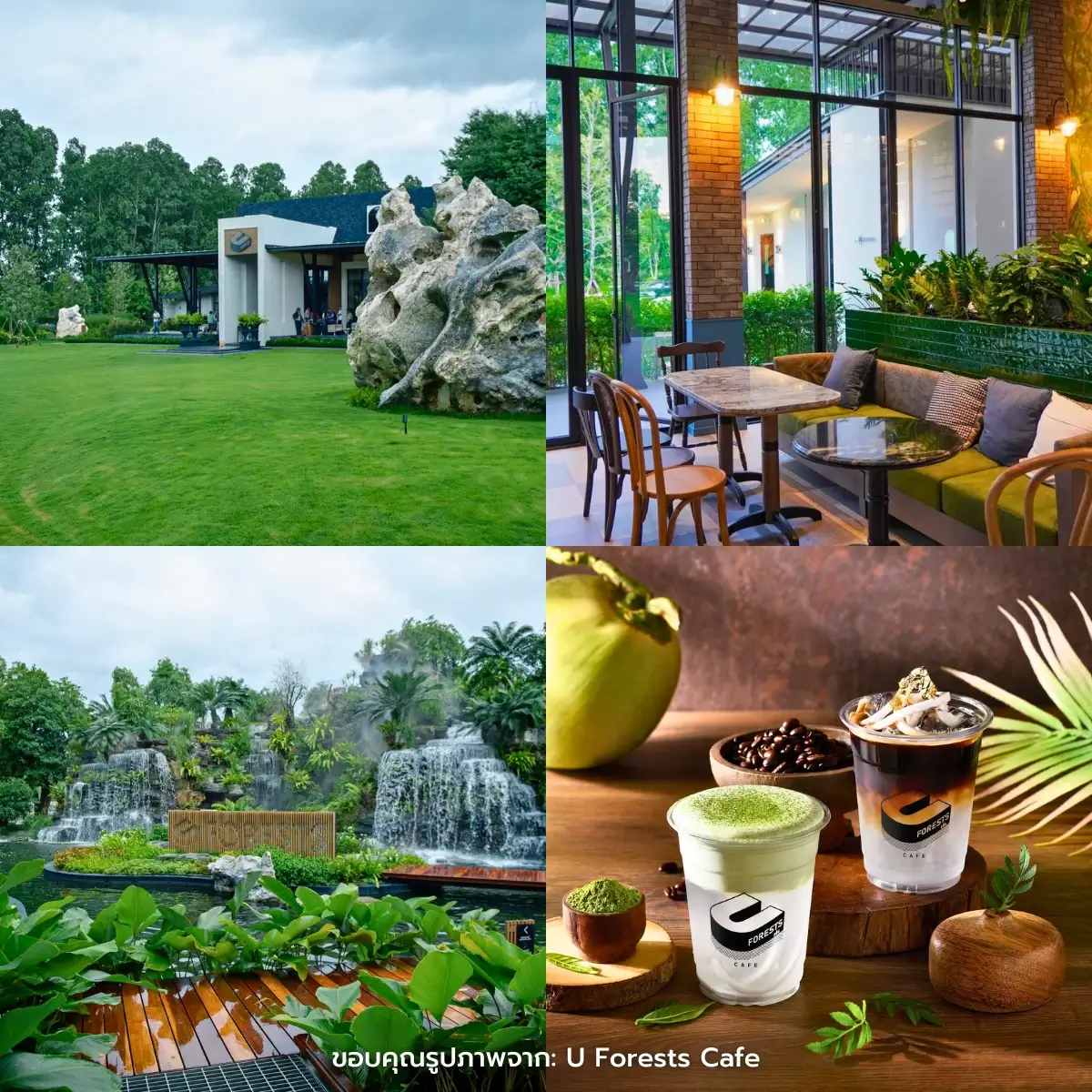 คาเฟ่ระยอง นั่งชิล มองวิวทะเล ธรรมชาติสวยๆ ฟีลกู๊ดสุด