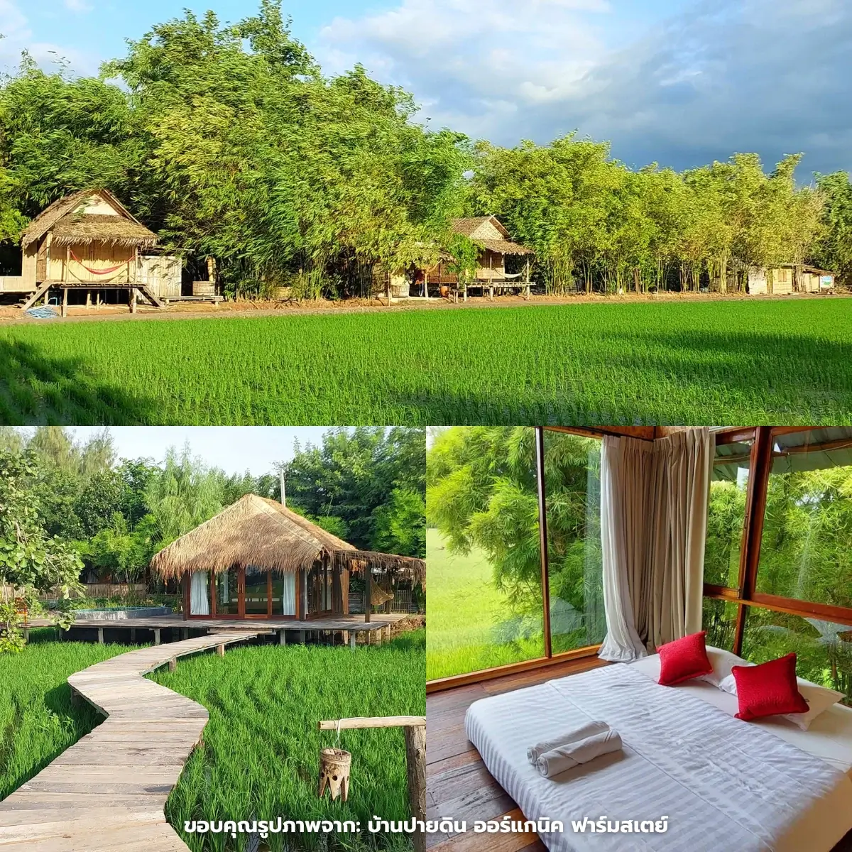 ที่พักสุพรรณบุรี ริมน้ำสวยๆ เอาใจสายธรรมชาติ