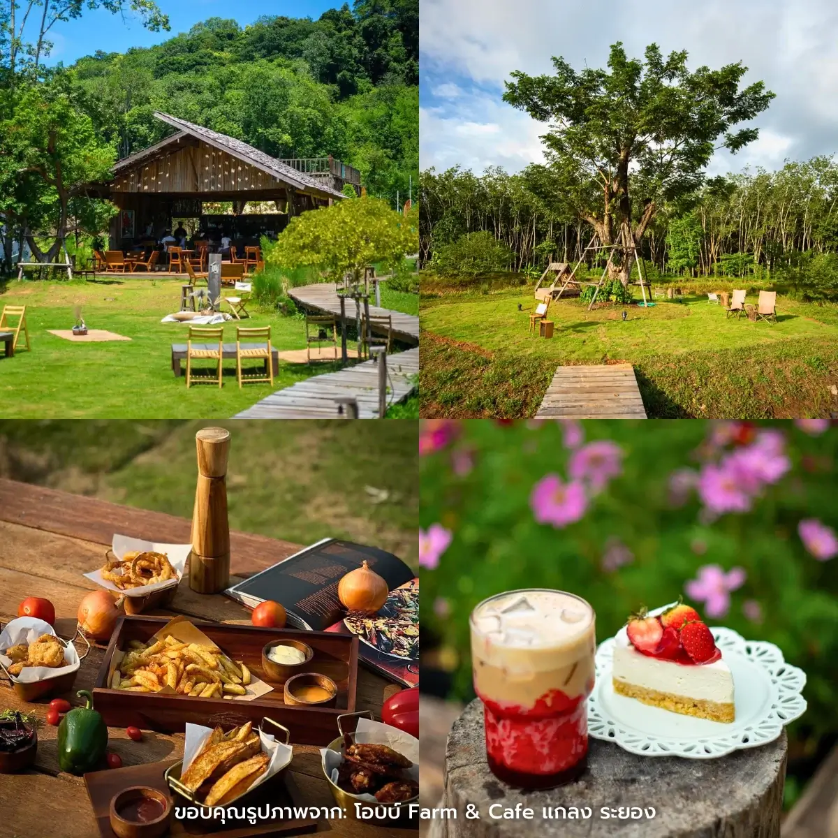 คาเฟ่ระยอง นั่งชิล มองวิวทะเล ธรรมชาติสวยๆ ฟีลกู๊ดสุด