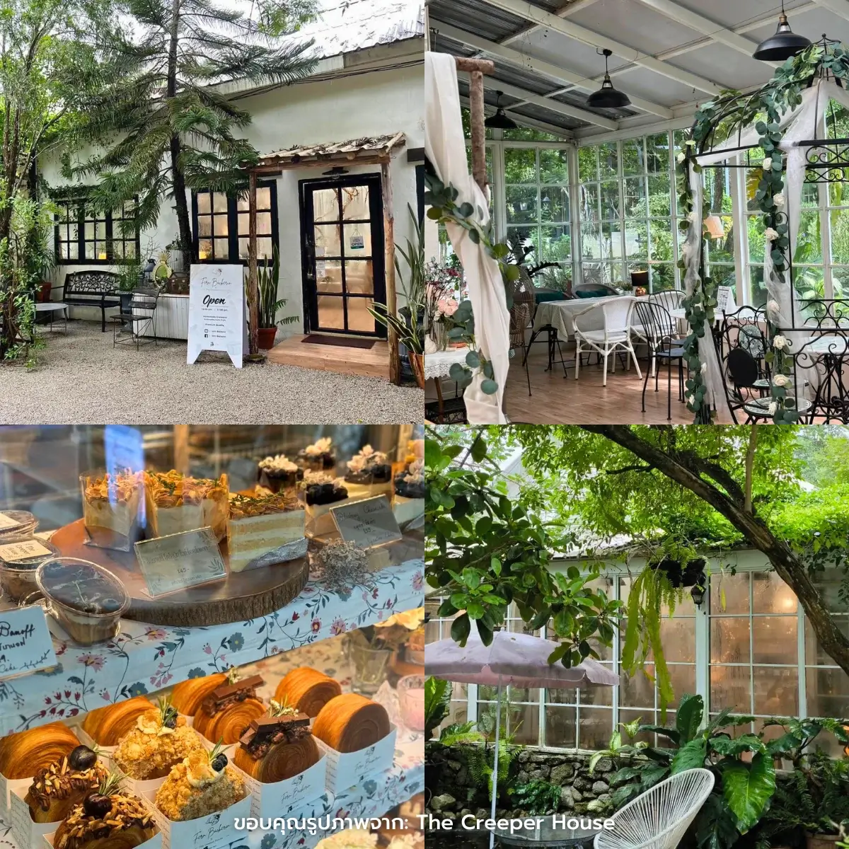 คาเฟ่ระยอง นั่งชิล มองวิวทะเล ธรรมชาติสวยๆ ฟีลกู๊ดสุด