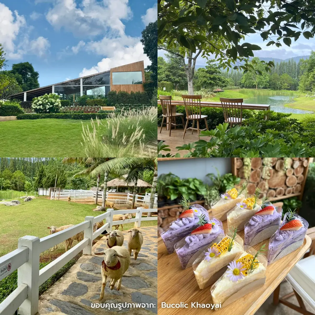 คาเฟ่เขาใหญ่ เปิดใหม่ ฟีลธรรมชาติ ถ่ายรูปสวยๆ