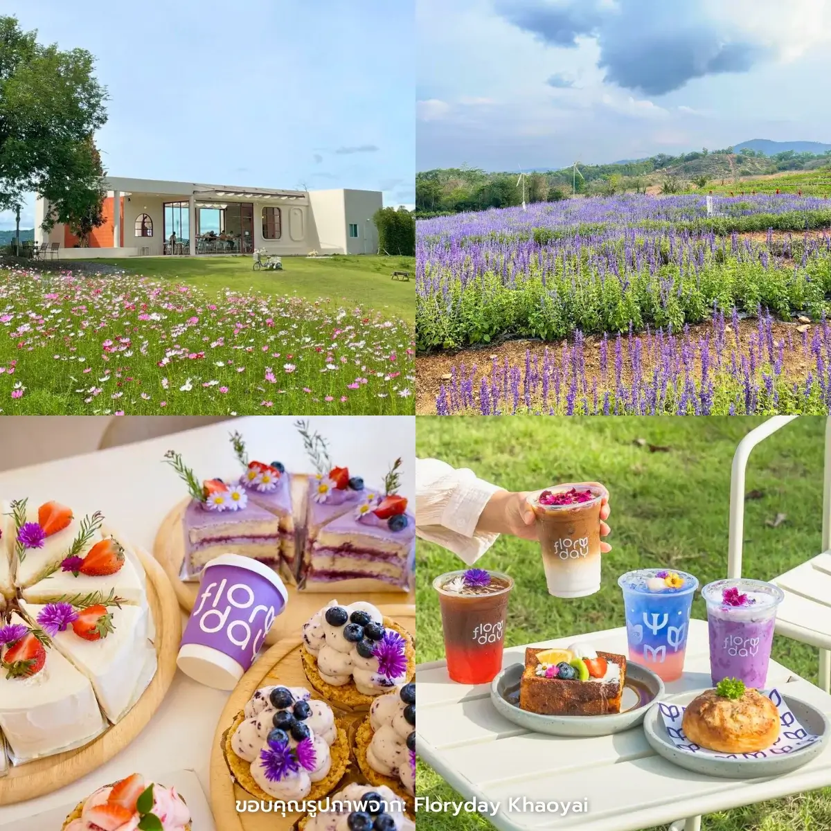 คาเฟ่เขาใหญ่ เปิดใหม่ ฟีลธรรมชาติ ถ่ายรูปสวยๆ