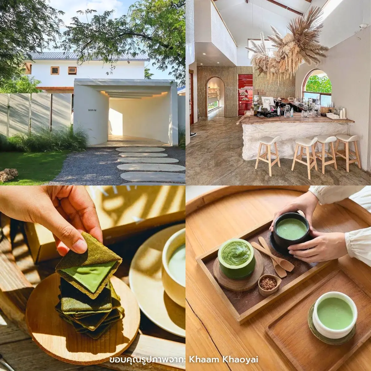 คาเฟ่เขาใหญ่ เปิดใหม่ ฟีลธรรมชาติ ถ่ายรูปสวยๆ