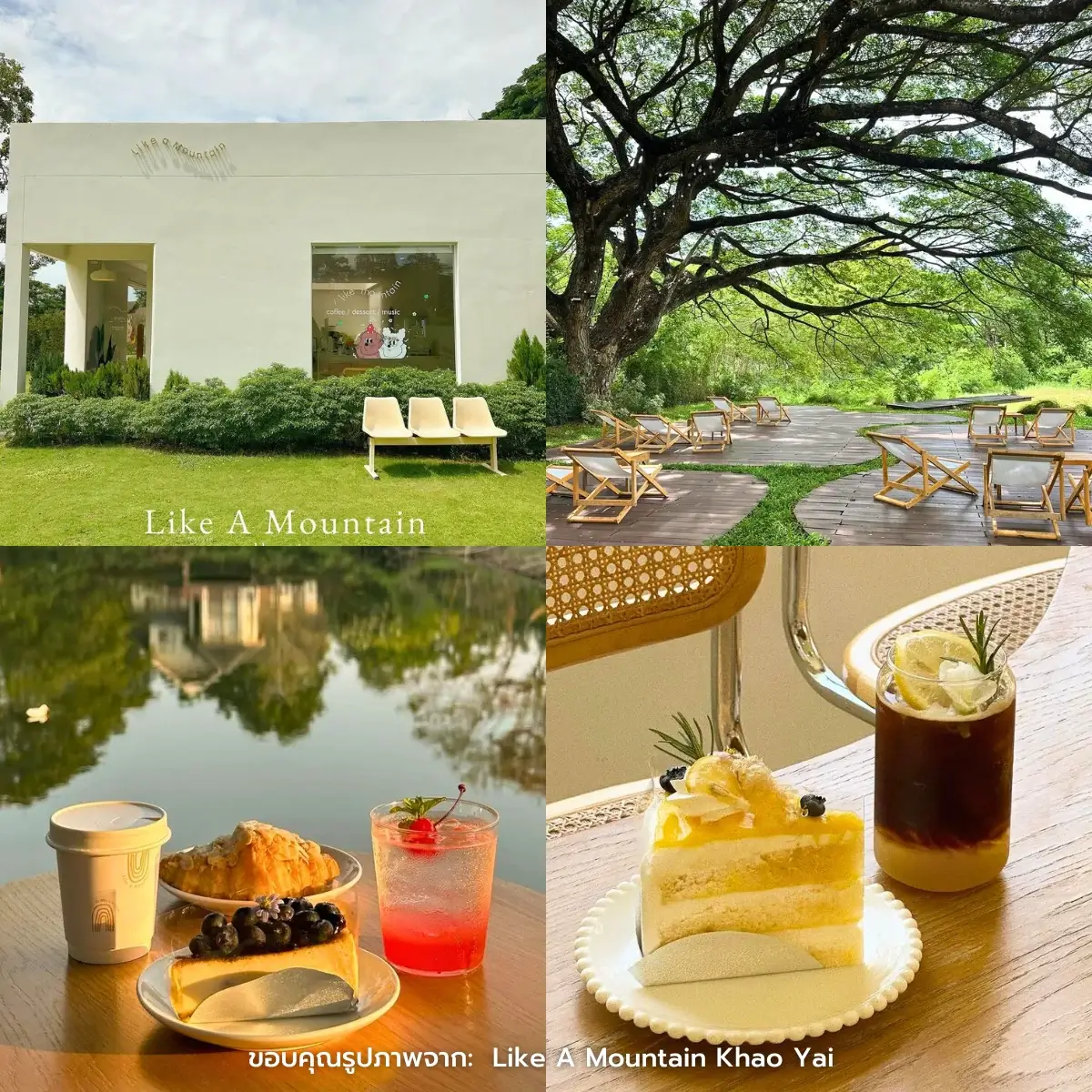 คาเฟ่เขาใหญ่ เปิดใหม่ ฟีลธรรมชาติ ถ่ายรูปสวยๆ