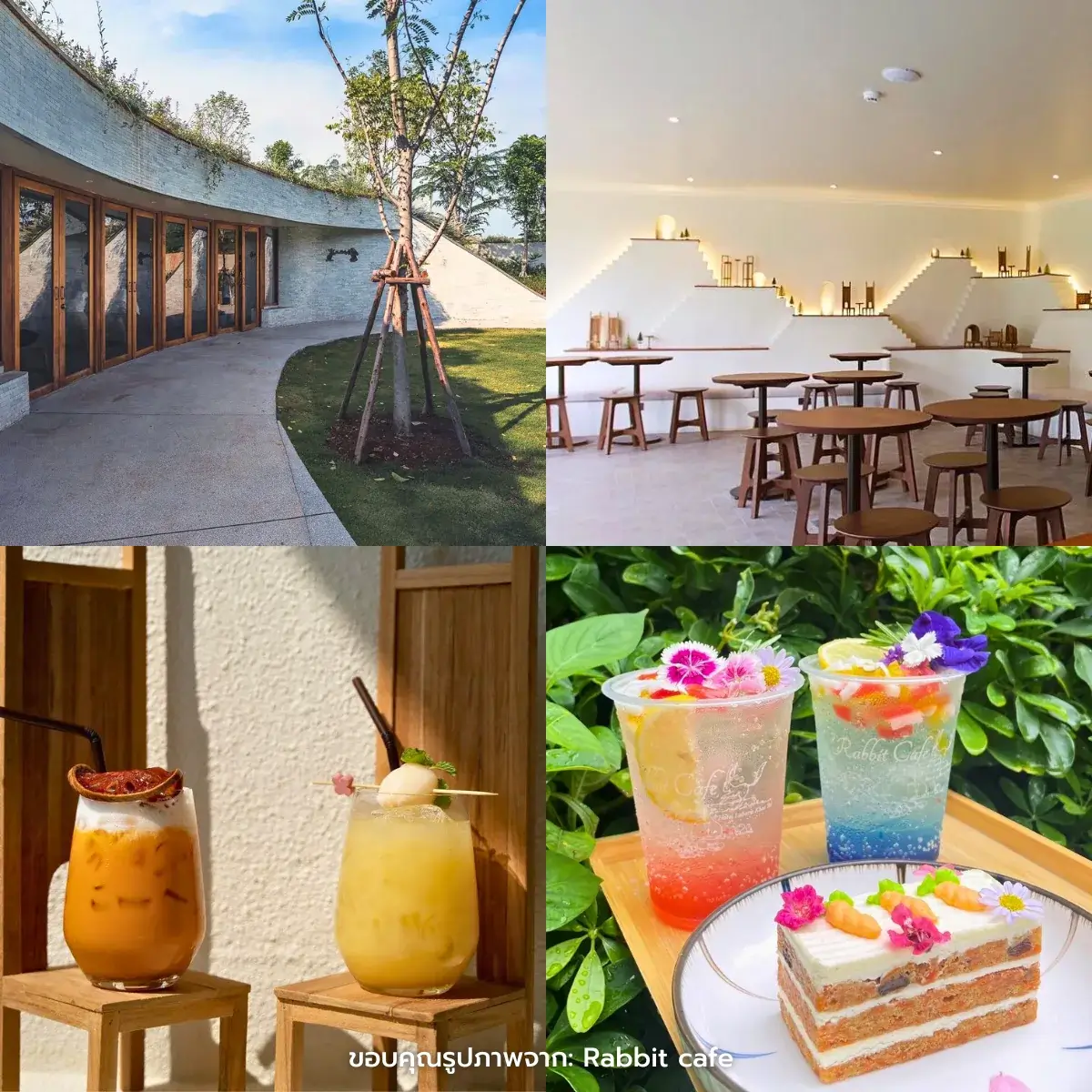 คาเฟ่เขาใหญ่ เปิดใหม่ ฟีลธรรมชาติ ถ่ายรูปสวยๆ