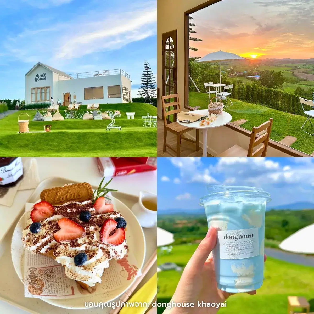 คาเฟ่เขาใหญ่ เปิดใหม่ ฟีลธรรมชาติ ถ่ายรูปสวยๆ