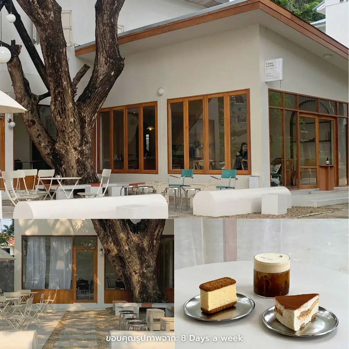 คาเฟ่เชียงใหม่ สวยฉ่ำ ฟีลธรรมชาติ ในตัวเมือง