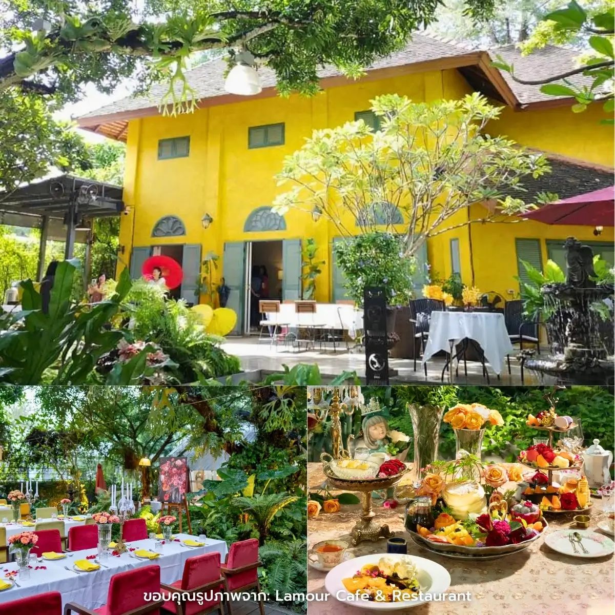 คาเฟ่เชียงใหม่ สวยฉ่ำ ฟีลธรรมชาติ ในตัวเมือง