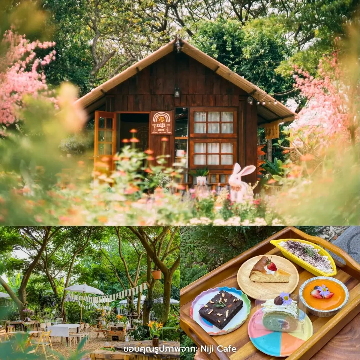 คาเฟ่เชียงใหม่ สวยฉ่ำ ฟีลธรรมชาติ ในตัวเมือง