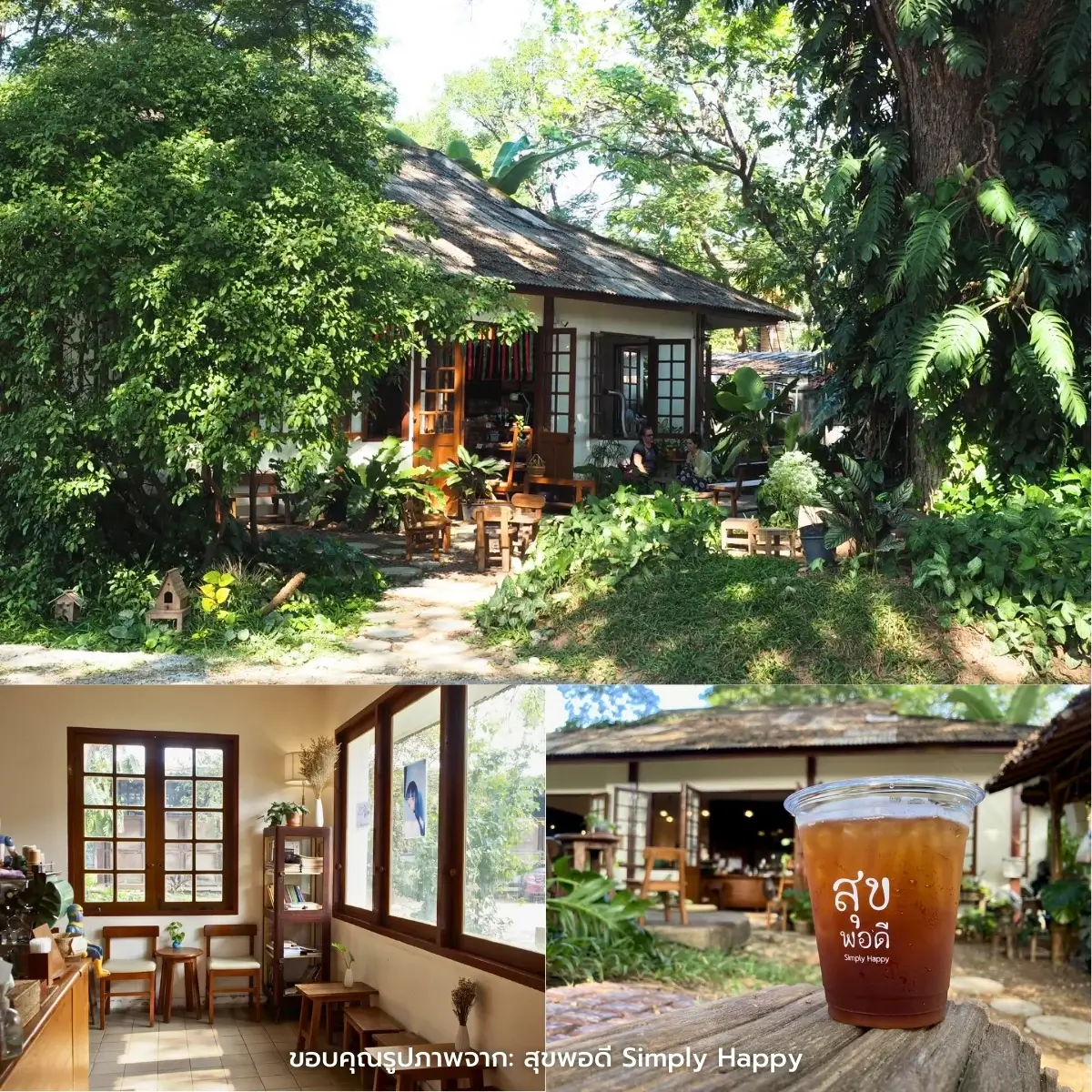 คาเฟ่เชียงใหม่ สวยฉ่ำ ฟีลธรรมชาติ ในตัวเมือง