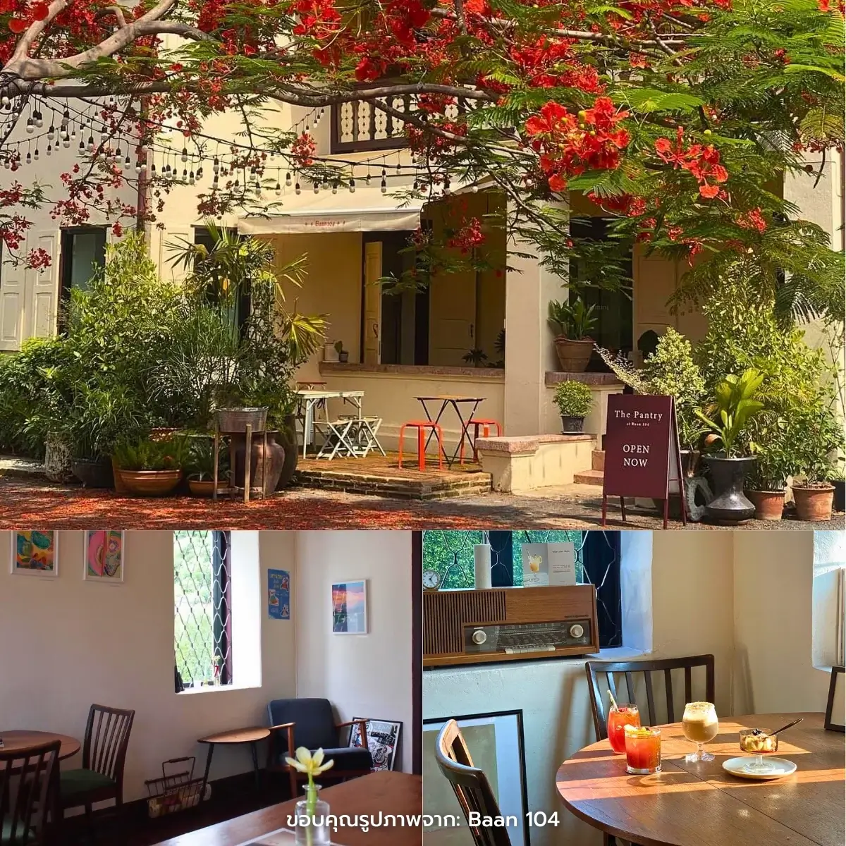 คาเฟ่เชียงใหม่ สวยฉ่ำ ฟีลธรรมชาติ ในตัวเมือง