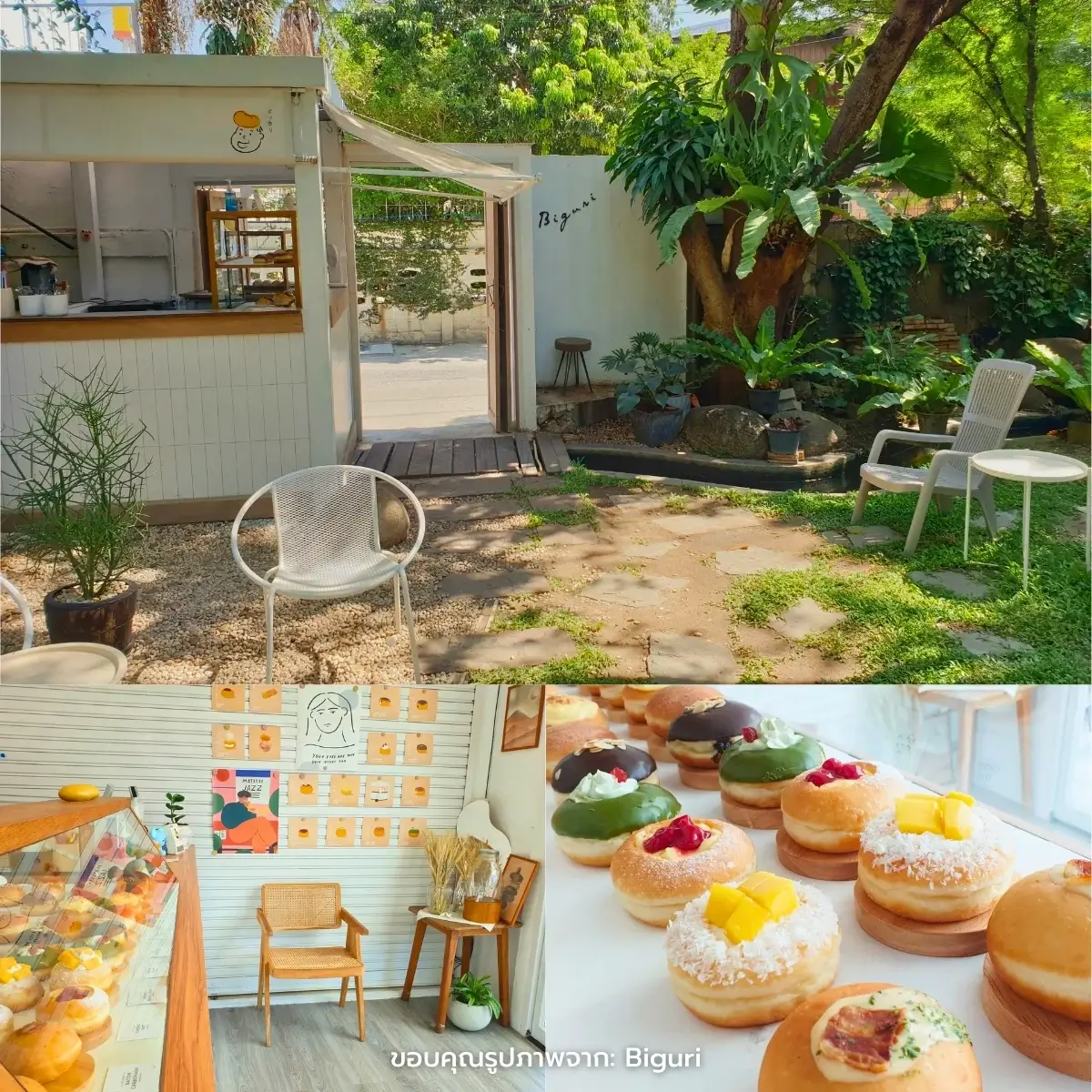 คาเฟ่เชียงใหม่ สวยฉ่ำ ฟีลธรรมชาติ ในตัวเมือง