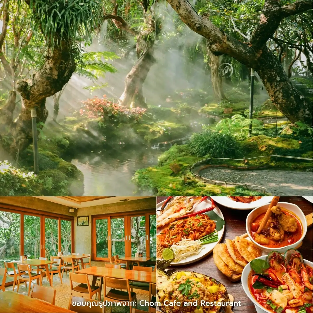 คาเฟ่เชียงใหม่ สวยฉ่ำ ฟีลธรรมชาติ ในตัวเมือง