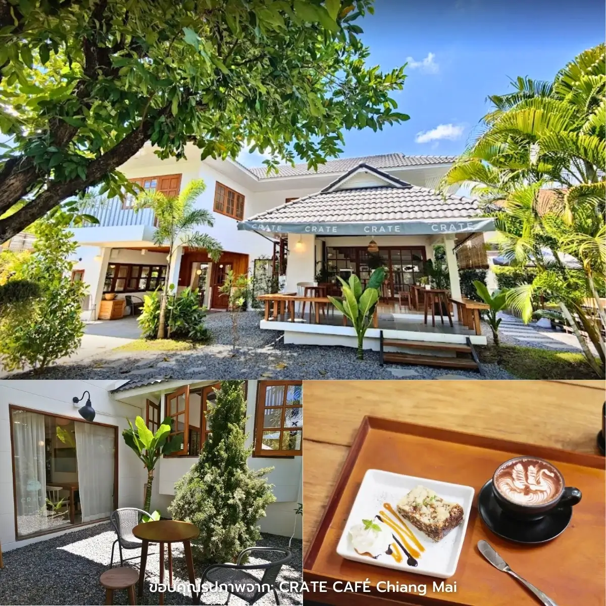 คาเฟ่เชียงใหม่ สวยฉ่ำ ฟีลธรรมชาติ ในตัวเมือง