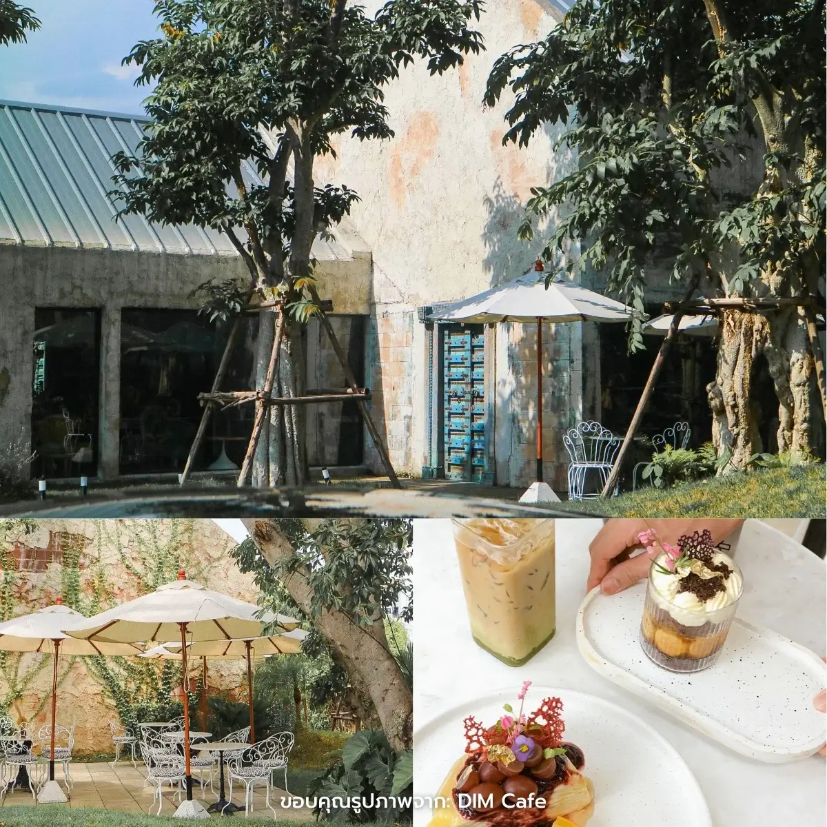 คาเฟ่เชียงใหม่ สวยฉ่ำ ฟีลธรรมชาติ ในตัวเมือง