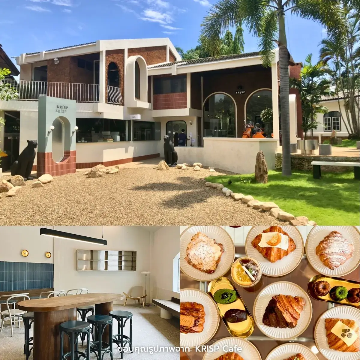 คาเฟ่เชียงใหม่ สวยฉ่ำ ฟีลธรรมชาติ ในตัวเมือง