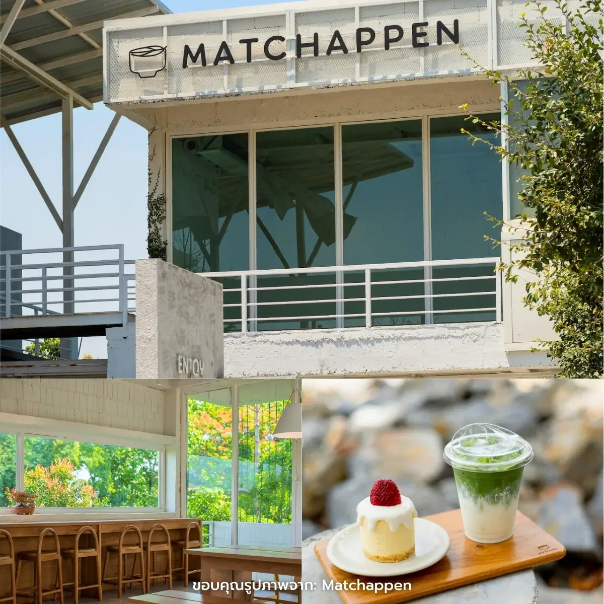 คาเฟ่เชียงใหม่ สวยฉ่ำ ฟีลธรรมชาติ ในตัวเมือง