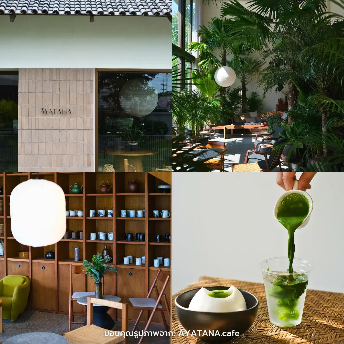 คาเฟ่ชลบุรี เปิดใหม่ บรรยากาศดี ถ่ายรูปสวย