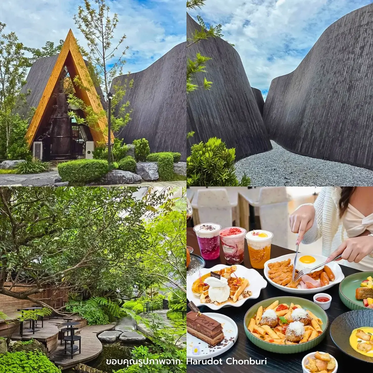 คาเฟ่ชลบุรี เปิดใหม่ บรรยากาศดี ถ่ายรูปสวย