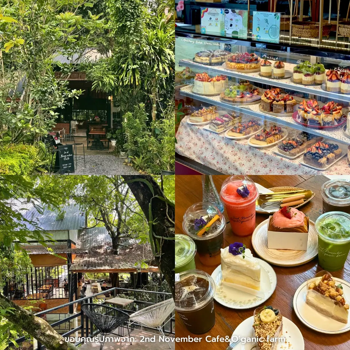 คาเฟ่นครนายก เปิดใหม่ สวยๆ วิวธรรมชาติ