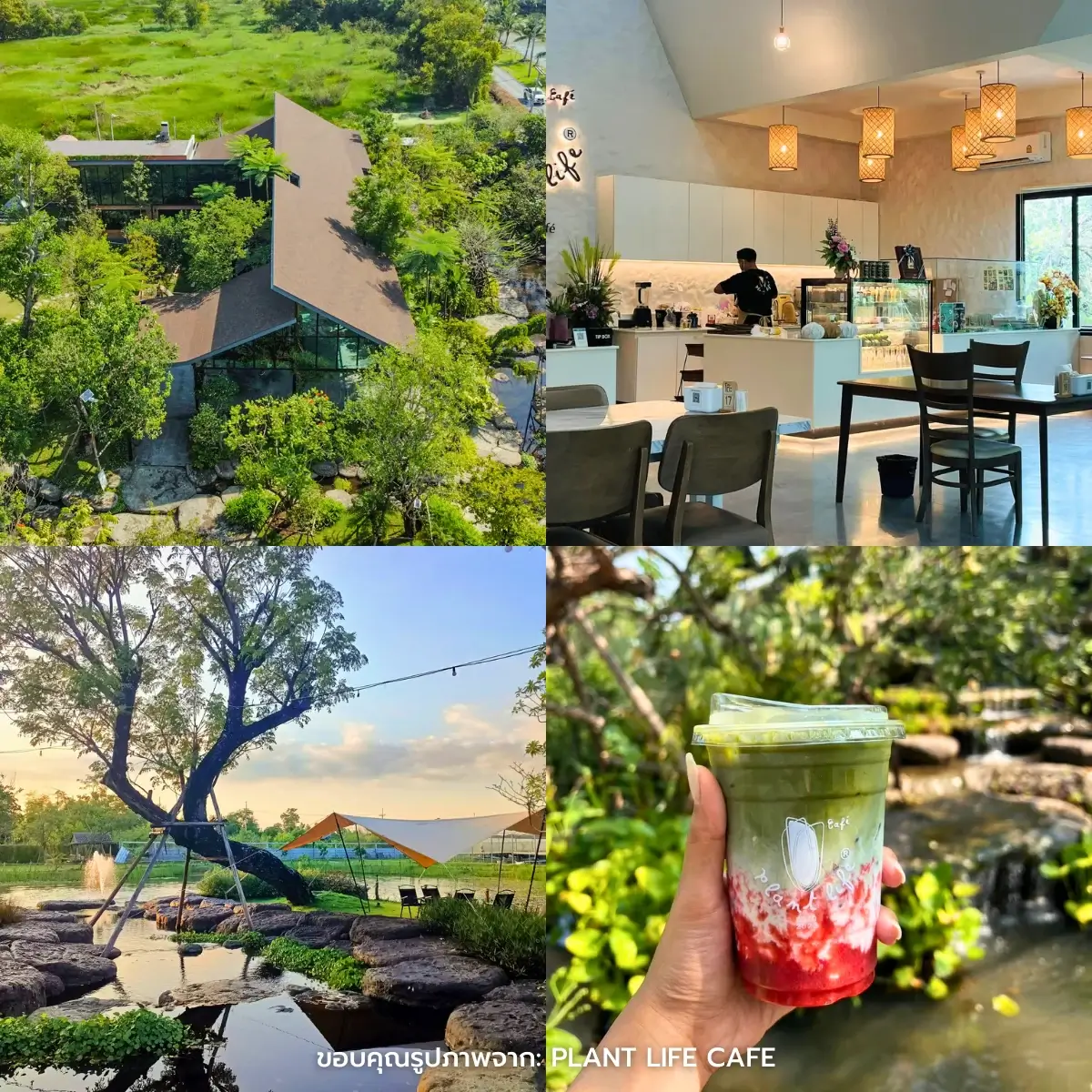 คาเฟ่นครนายก เปิดใหม่ สวยๆ วิวธรรมชาติ