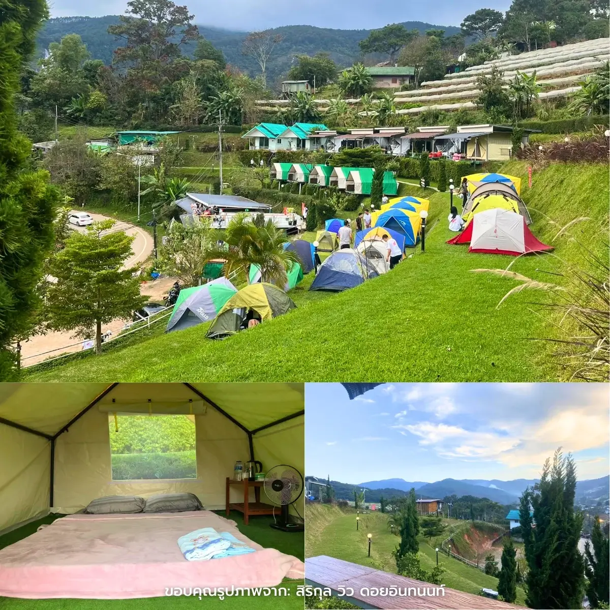 ที่พักดอยอินทนนท์ วิวสวย ธรรมชาติ ฮีลใจ