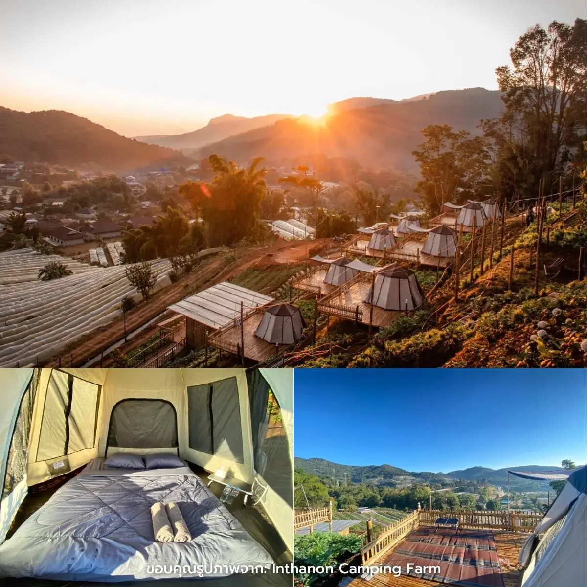 ที่พักดอยอินทนนท์ วิวสวย ธรรมชาติ ฮีลใจ