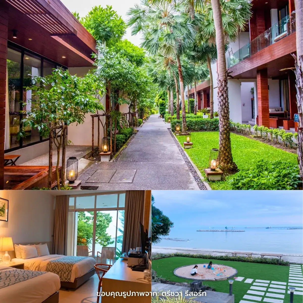 ที่พักอ่าวมะนาว - หาดคลองวาฬ ติดทะเล วิวสวย