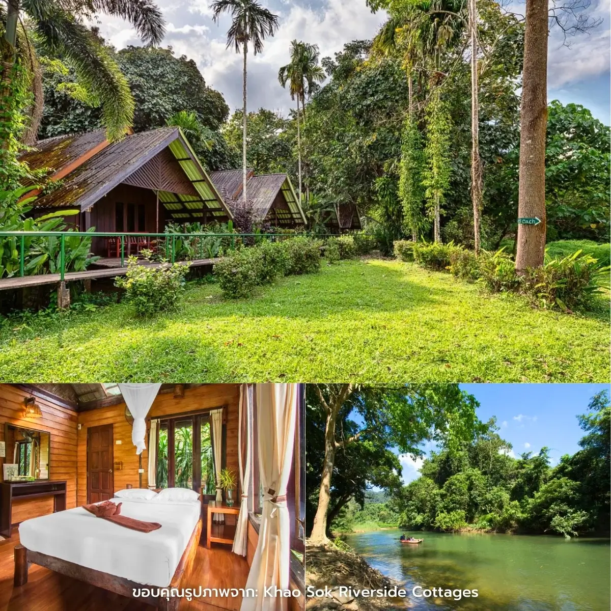 ที่พักเขาสก วิวสวย ติดลำธาร ฟีลธรรมชาติ