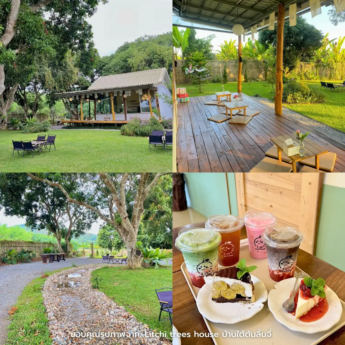 คาเฟ่เชียงราย เปิดใหม่ ฟีลธรรมชาติ ถ่ายรูปสวย