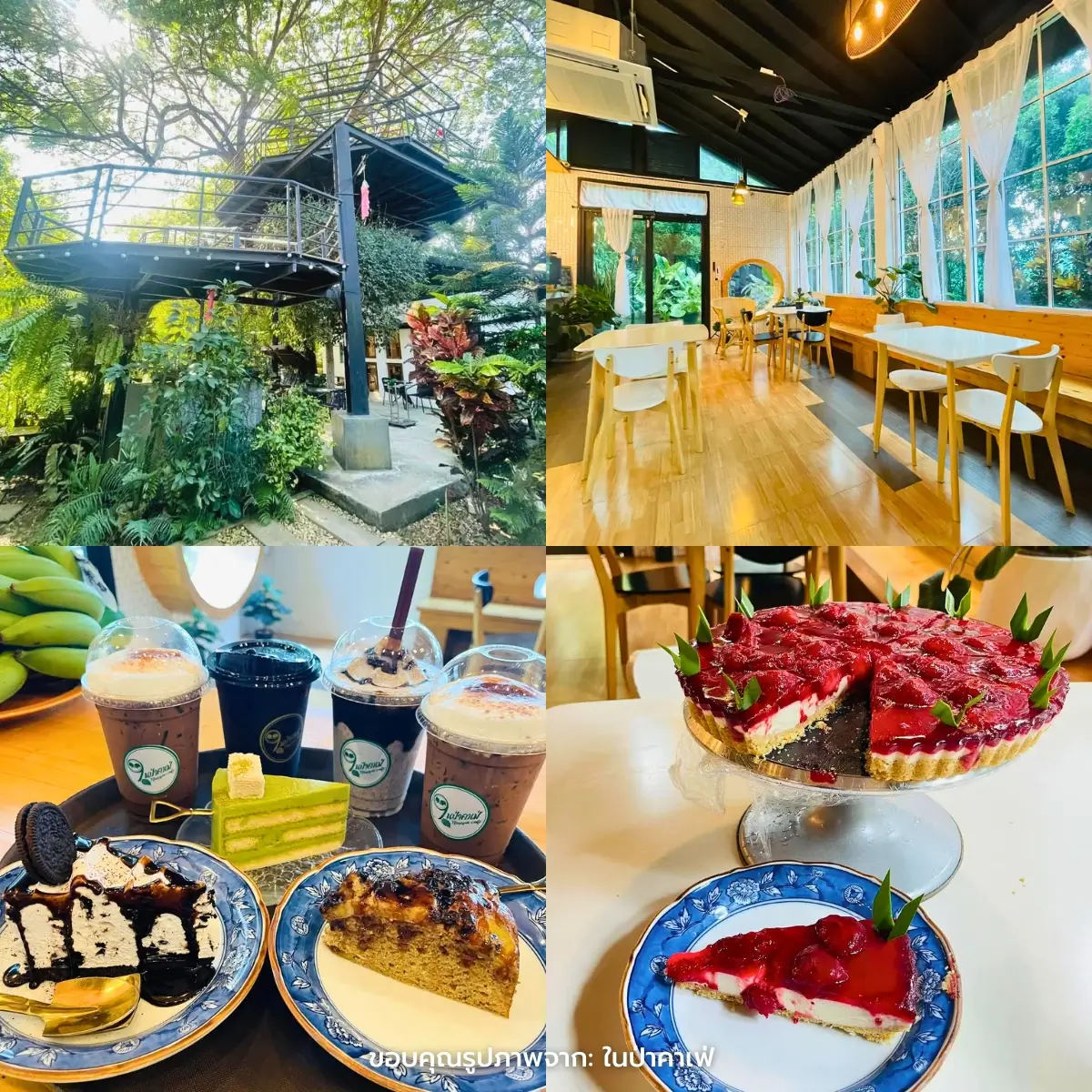 คาเฟ่พิษณุโลก เปิดใหม่ มู้ดดี ถ่ายรูปสวย ทำเลในเมือง